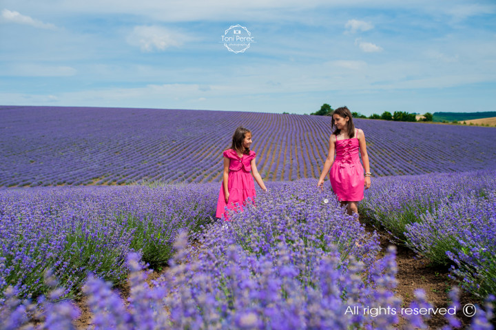 Бизнес - Into the Lavender 10