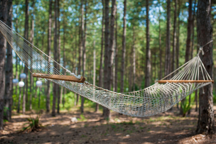 Бизнес - Forest Food House 3