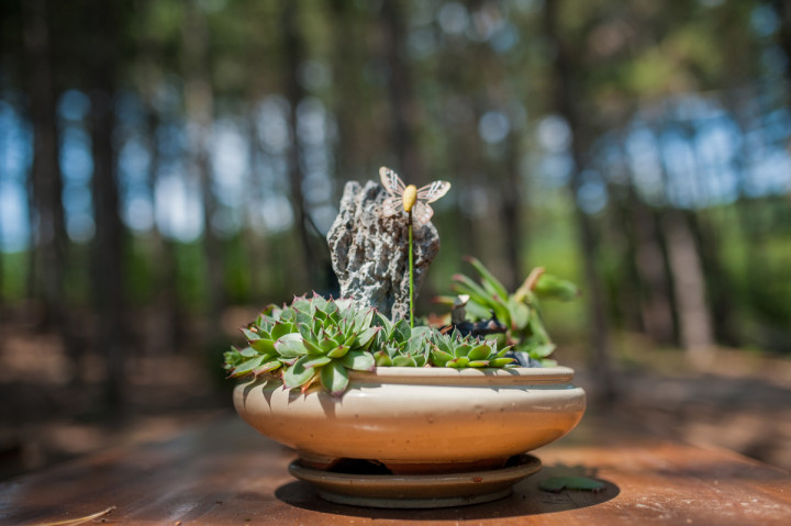 Бизнес - Forest Food House 7