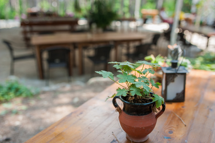 Бизнес - Forest Food House 8