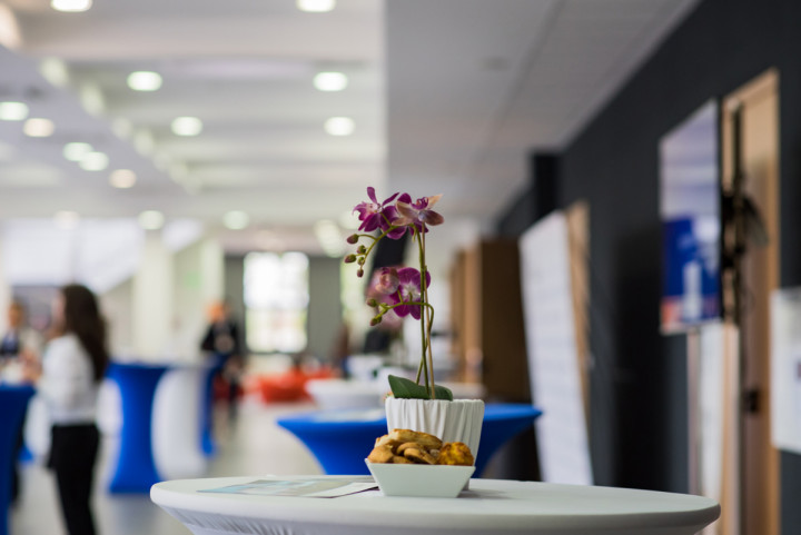 Бизнес - CEED Global Conference 2016 5