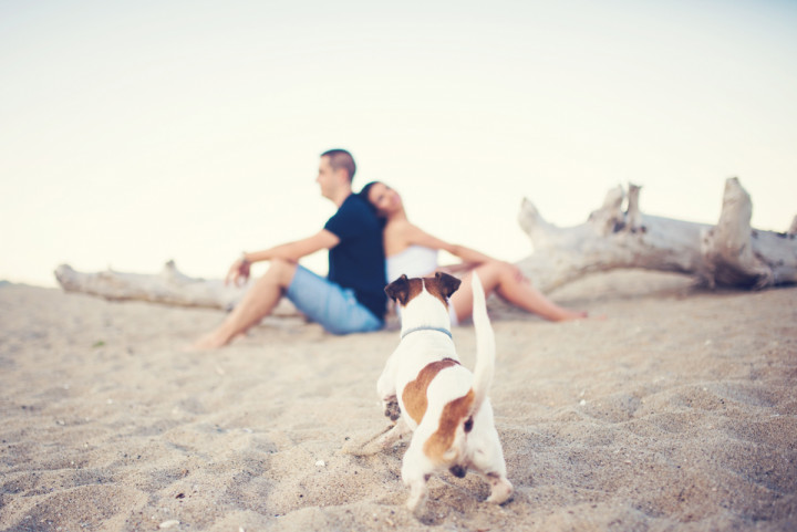 Фотосесия на бременна - Фотосесия на Мая 8