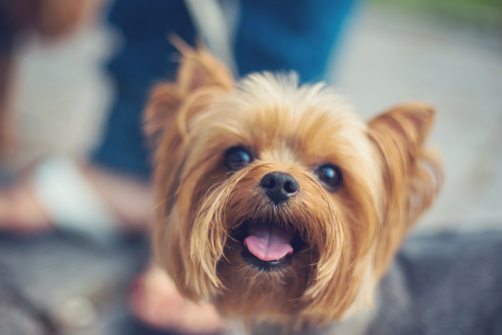 Семейни фотосесии - Майки с дъщери 10