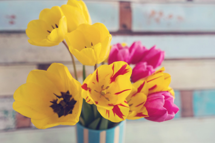 Бизнес - Cherry by Mary 9