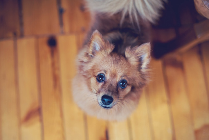 Цели сватби - Вики и Дани 5