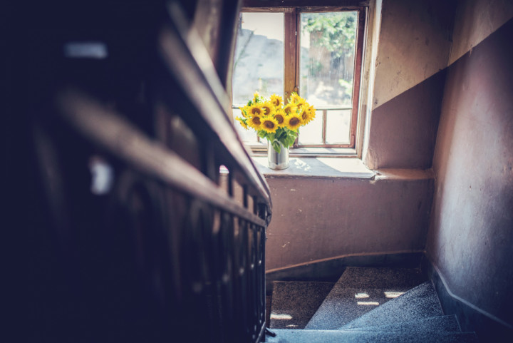 Цели сватби - Вики и Дани 7