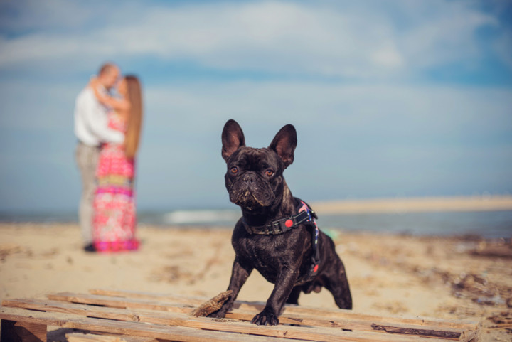 Предсватбени фотосесии - Ники и Веско 1