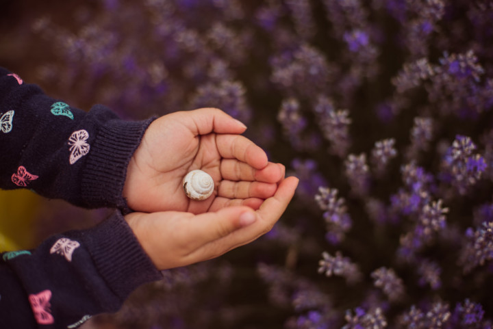 Детски фотосесии - Дария в лавандула 5