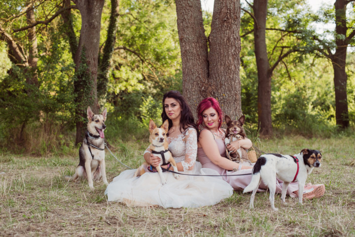 Следсватбени фотосесии - Ивелина и Тихомир 2