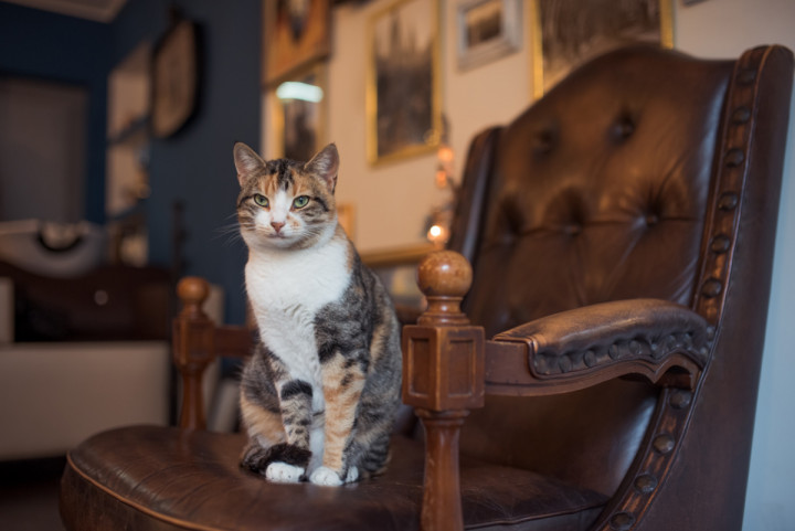 Бизнес - Lambri Barbershop 1